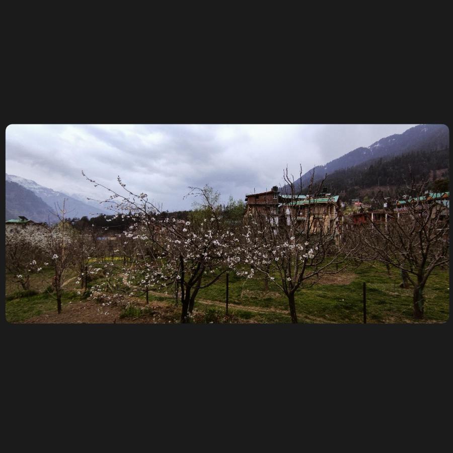 Yolo Backpackers - Manali Hostel Kültér fotó