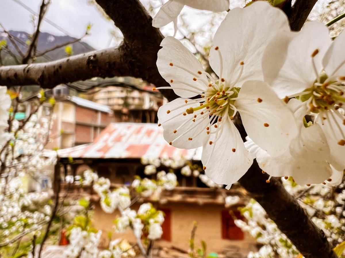 Yolo Backpackers - Manali Hostel Kültér fotó