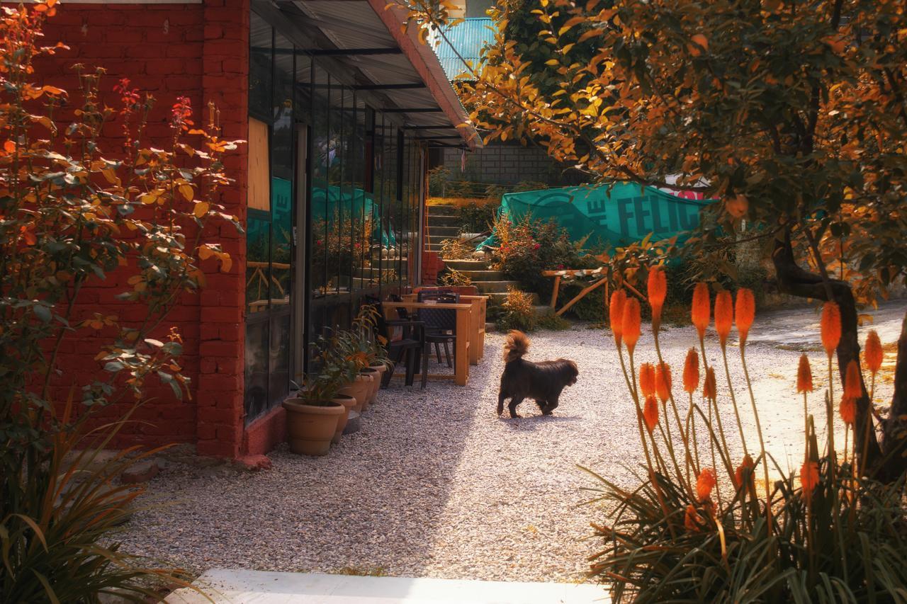 Yolo Backpackers - Manali Hostel Kültér fotó